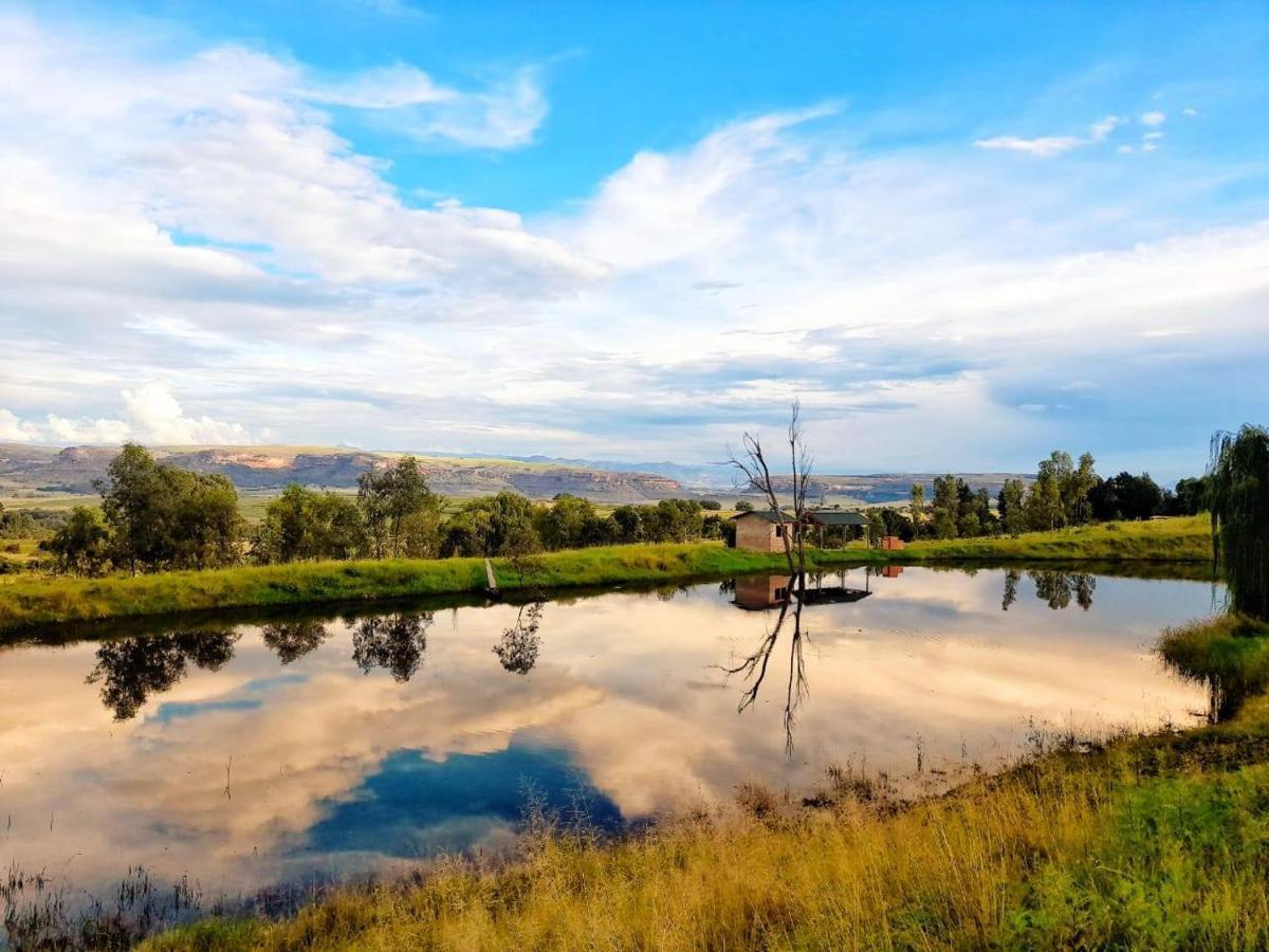 The Fat Mulberry Guest Farm Otel Fouriesburg Dış mekan fotoğraf