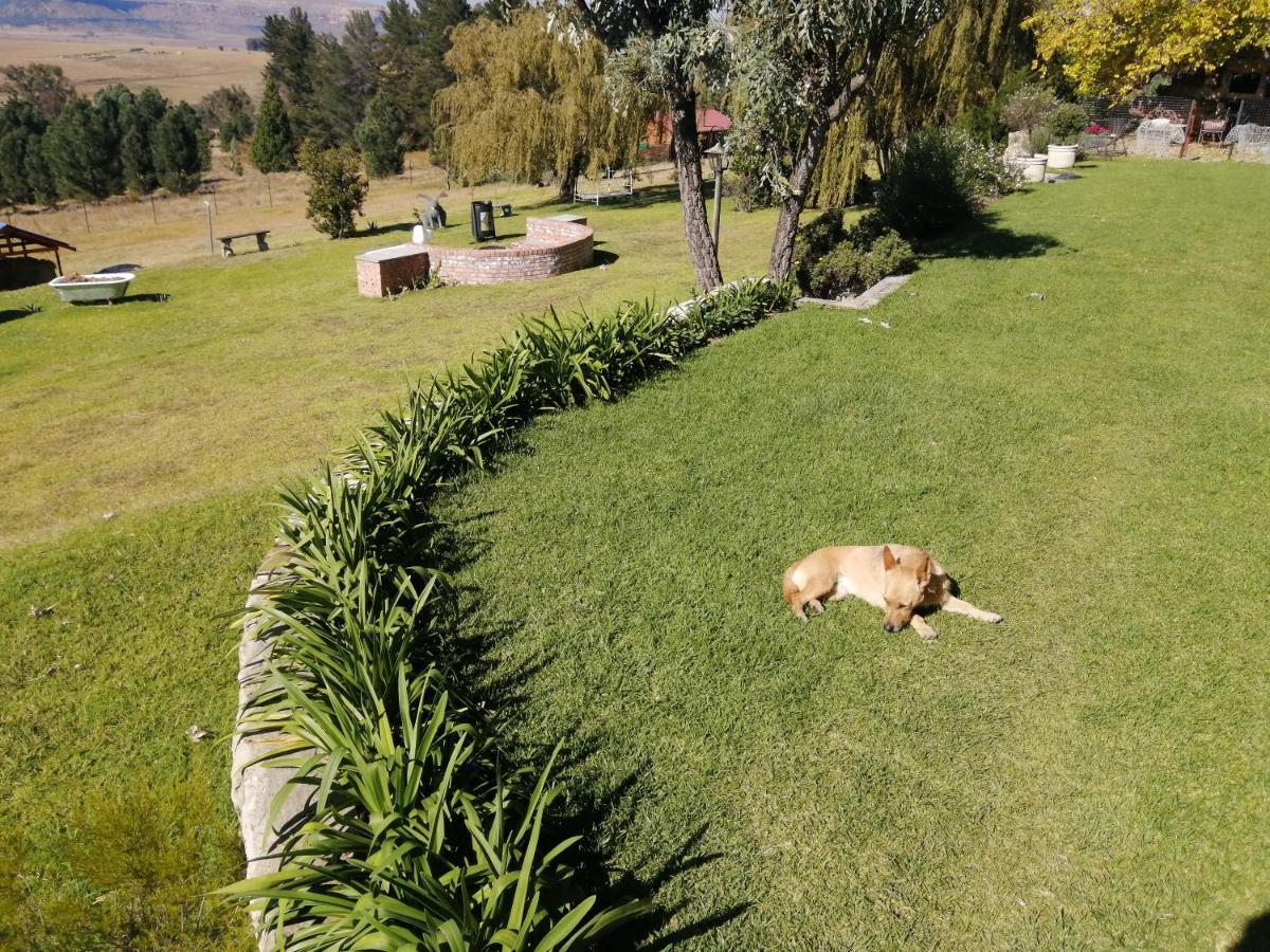 The Fat Mulberry Guest Farm Otel Fouriesburg Dış mekan fotoğraf