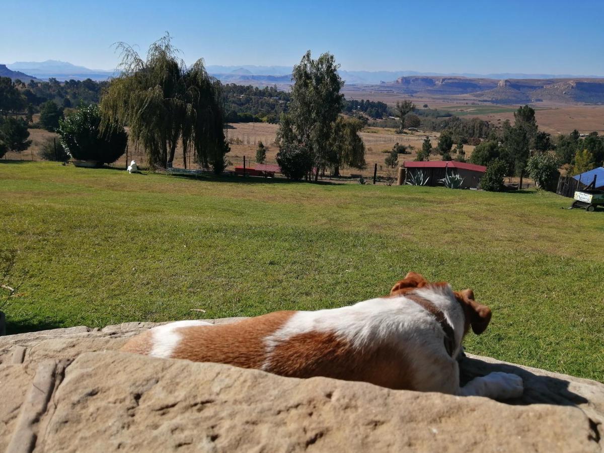 The Fat Mulberry Guest Farm Otel Fouriesburg Dış mekan fotoğraf