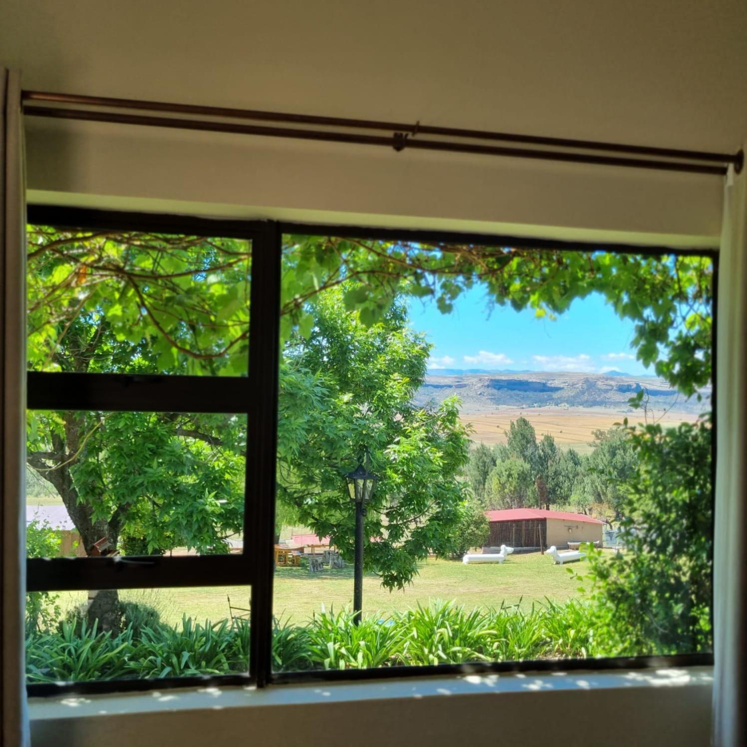 The Fat Mulberry Guest Farm Otel Fouriesburg Dış mekan fotoğraf